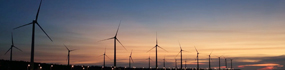 Department of Resource, Energy and Environment Law